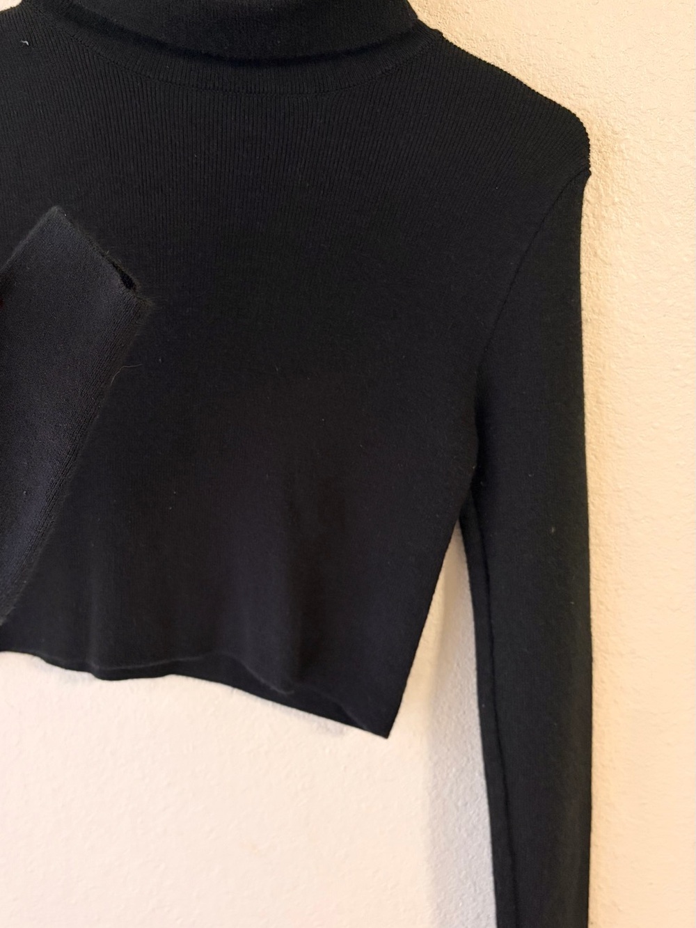 Forever 21 Black Cropped Turtleneck Top